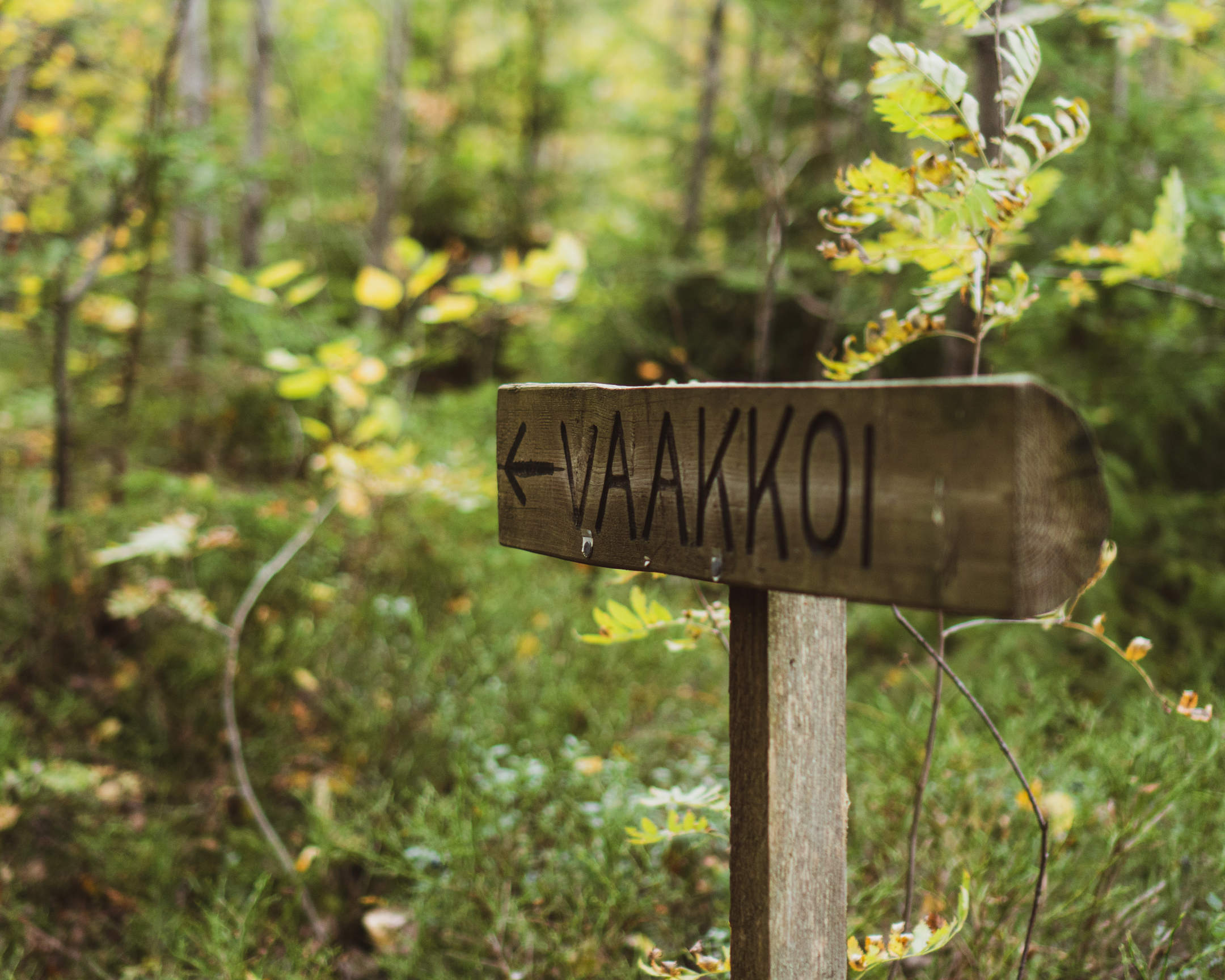 Vaakkoin eräkämppä - Helsingin Latu ja Polku ry